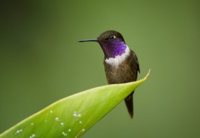 Together we can make travel clean, green and pristine