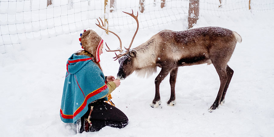 Savouring a traditional Sámi experience