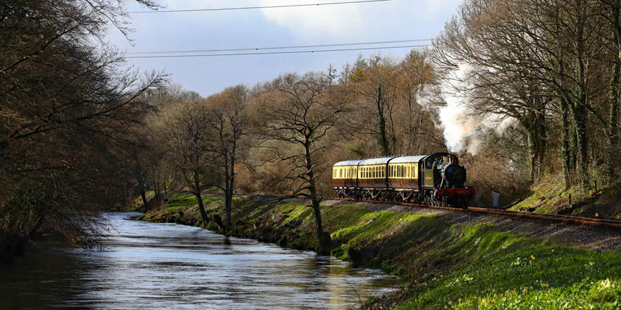 Enjoying the scenery from the South Devon Railway